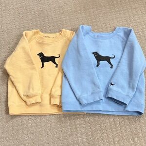 The Black Dog Yellow and Blue Kids Sweatshirts